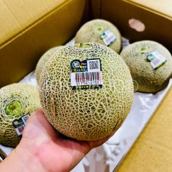 Japanese Ibaraki Andesu Green Muskmelon
