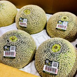 Japanese Ibaraki Andesu Green Muskmelons