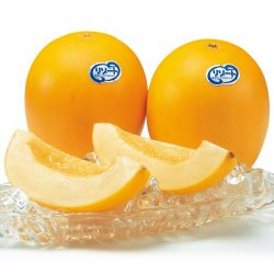 Japanese Kumamoto Resort Melon poster