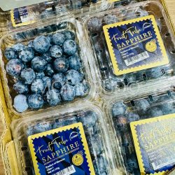 Jumbo Morocco Sapphire Sekoya-Pop Blueberry 125g punnets Jumbo Morocco Sapphire Sekoya-Pop Blueberry 125g punnets