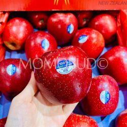 NZ Pacific Queen Apple on hand