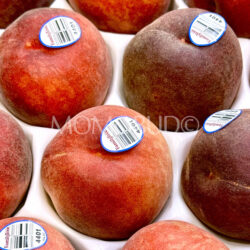 Family Tree Farms® Snow Belle White Peaches