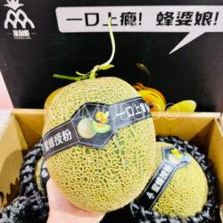 Honey Bee Green Muskmelon