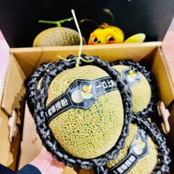 Honey Bee Green Muskmelon