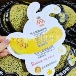 Honey Bee Green Muskmelon brochure