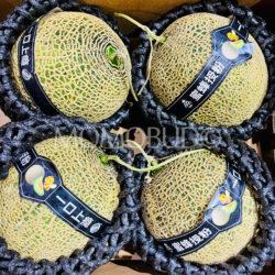 Honey Bee Green Muskmelons