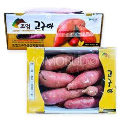 Korean Jo-eom Beni Haruka Yellow Sweet Potato 2kg Box