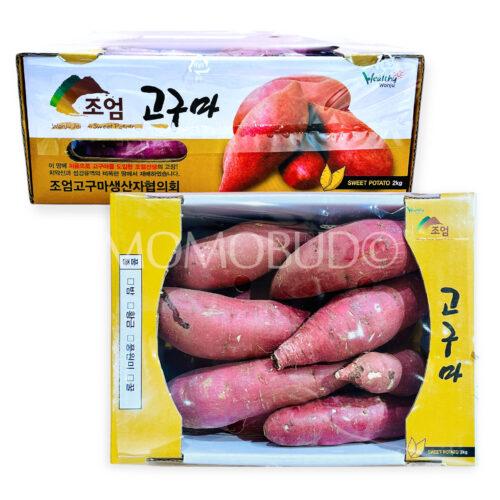 Korean Jo-eom Beni Haruka Yellow Sweet Potato 2kg Box