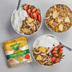 Tropi Snack Dried Pineapple Granola