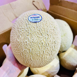 USA Majestic Origami Cantaloupe