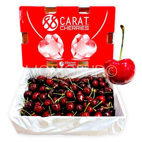 Washington 88Carat Coral Red Cherry 2.5kg 8.5 row