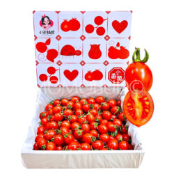 China Xiao Zhu Cherry Tomato Gift Box (1kg)