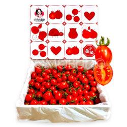 China Xiao Zhu Cherry Tomato Gift Box (1kg)