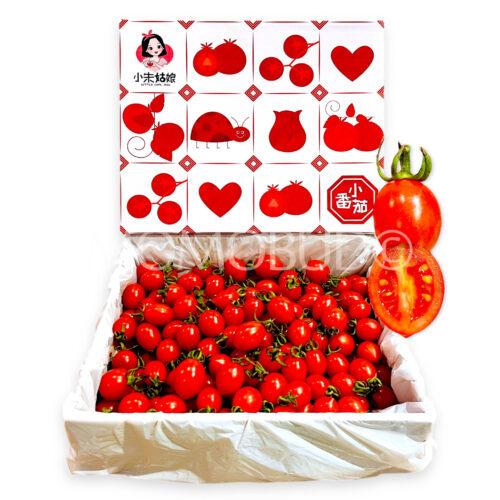 China Xiao Zhu Cherry Tomato Gift Box (1kg)