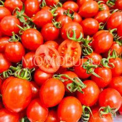 China Xiao Zhu Cherry Tomato cross section