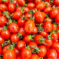 China Xiao Zhu Cherry Tomatoes