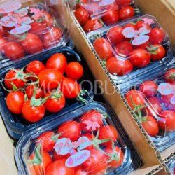 Japanese Ai-chan Cherry Tomato (150g punnets)