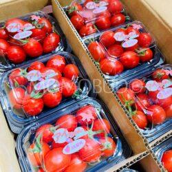 Japanese Ai-chan Cherry Tomato (150g punnets)