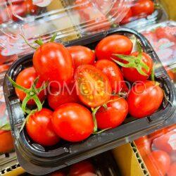 Japanese Ai-chan Cherry Tomato cross section