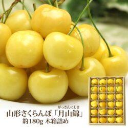 Japanese Gassan Nishiki Sakuranbo (Cherry) Paulownia Wooden Gift Box poster