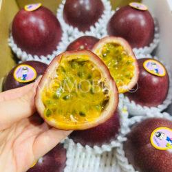 Japanese Okinawa Passionfruit cross section 1