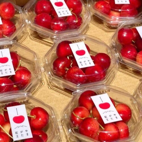 Japanese Yamagata Beniou Sakuranbo (Cherry, 100g punnets)