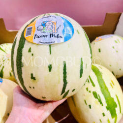 USA Picasso Melon