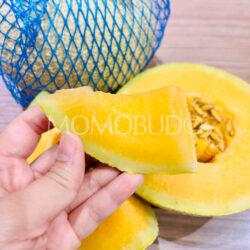 USA Pure Sweetness™ Melon slice