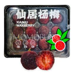 X-Large China Xianju Waxberry (300g, 12pcs) 1