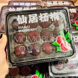 X-Large China Xianju Waxberry (300g, 12pcs) 2