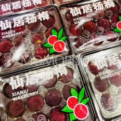 X-Large China Xianju Waxberry (300g, 12pcs) punnets