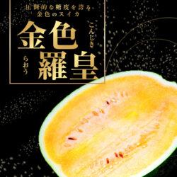 Japanese Gunma Konjiki Raou Golden Watermelon poster