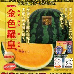 Japanese Gunma Konjiki Raou Golden Watermelon sweetness