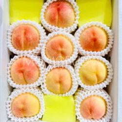 Japanese Okayama Koi Mirai White Peaches
