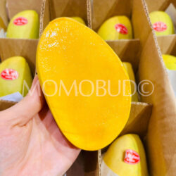 Philiphines My My Mango cross section