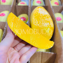 Philiphines My My Mango slice