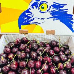 Seahawk Coral Champagne Red Cherry Gift Box (2.5kg)