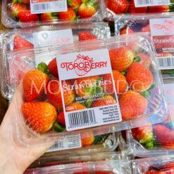 South Africa Toroberry Victory Strawberry 250g punnet 1