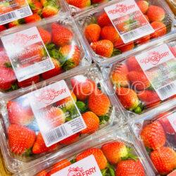 South Africa Toroberry Victory Strawberry 250g punnets