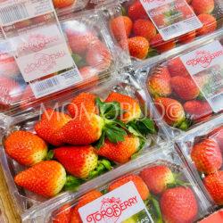 South Africa Toroberry Victory Strawberries