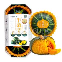 China Beibei Chestnut Mini Pumpkin (500g pack)