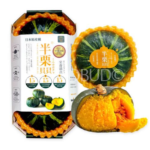 China Beibei Chestnut Mini Pumpkin (500g pack)