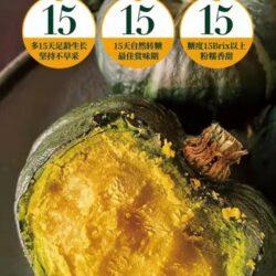 China Beibei Chestnut Mini Pumpkin poster