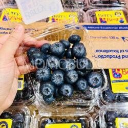 Ecuadorian Jumbo Berry Best® Eureka Blueberries