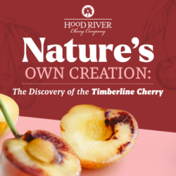 Hood River Timerbline Cherries Hood River Timerbline Cherries
