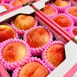 Japanese Aomori Akatsuki White Peaches