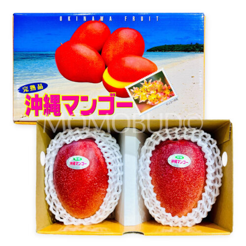Japanese Okinawa Kanjuku Mango Gift Box (1kg) Japanese Okinawa Kanjuku Mango Gift Box (1kg)