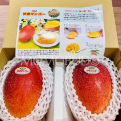 Japanese Okinawa Kanjuku Mango Gift Box (1kg) brochure back Japanese Okinawa Kanjuku Mango Gift Box (1kg) brochure back