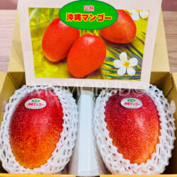 Japanese Okinawa Kanjuku Mango Gift Box (1kg) brochure front Japanese Okinawa Kanjuku Mango Gift Box (1kg) brochure front