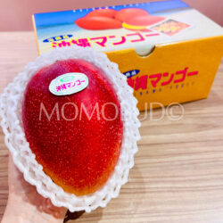 Japanese Okinawa Kanjuku Mango on hand Japanese Okinawa Kanjuku Mango on hand